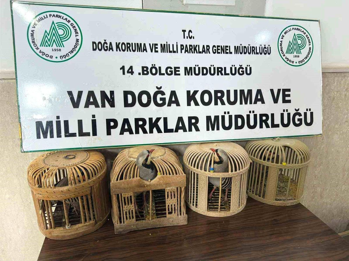 Van'da keklik avlayan şahsa 86 bin 278 lira para cezası
