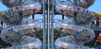 Çin’de aqua parkta korku dolu anlar: Kaydırakta mahsur kaldılar