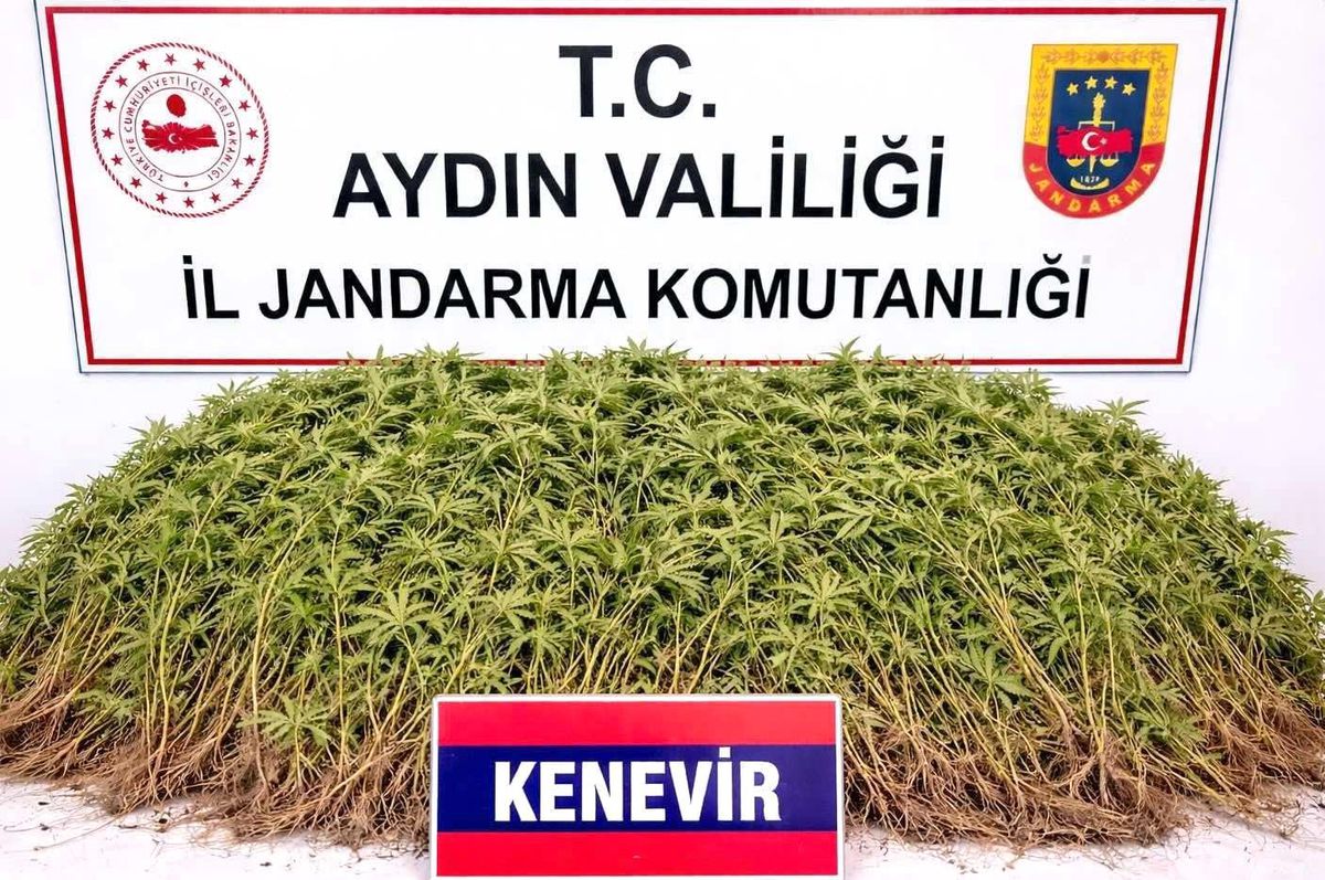 Nazilli'de uyuşturucu operasyonu