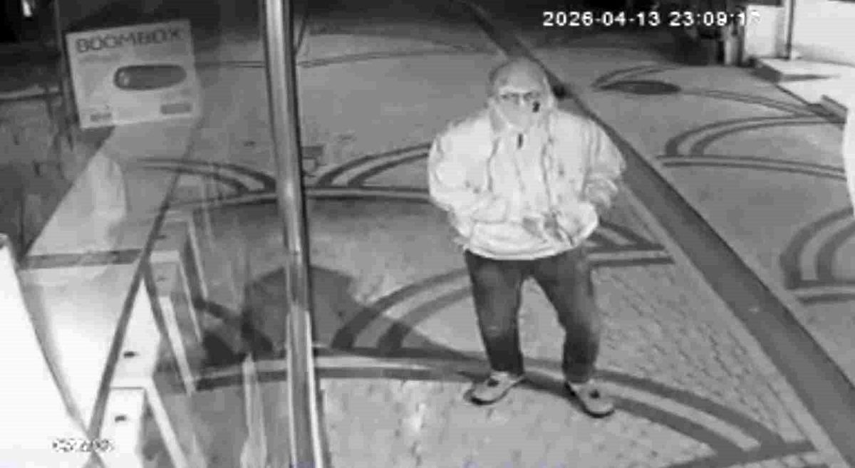 Ordu'da telefon hırsızlığı kamerada