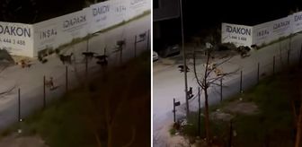 Sancaktepe'de ürküten manzara! Videoyu izleyenler belediye başkanını etiketledi
