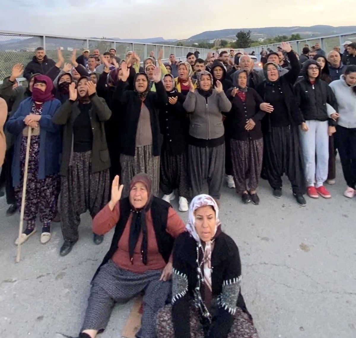 Mersin'de ormanlık alana ekili narenciye bahçelerinin kaldırılması kararına tepki