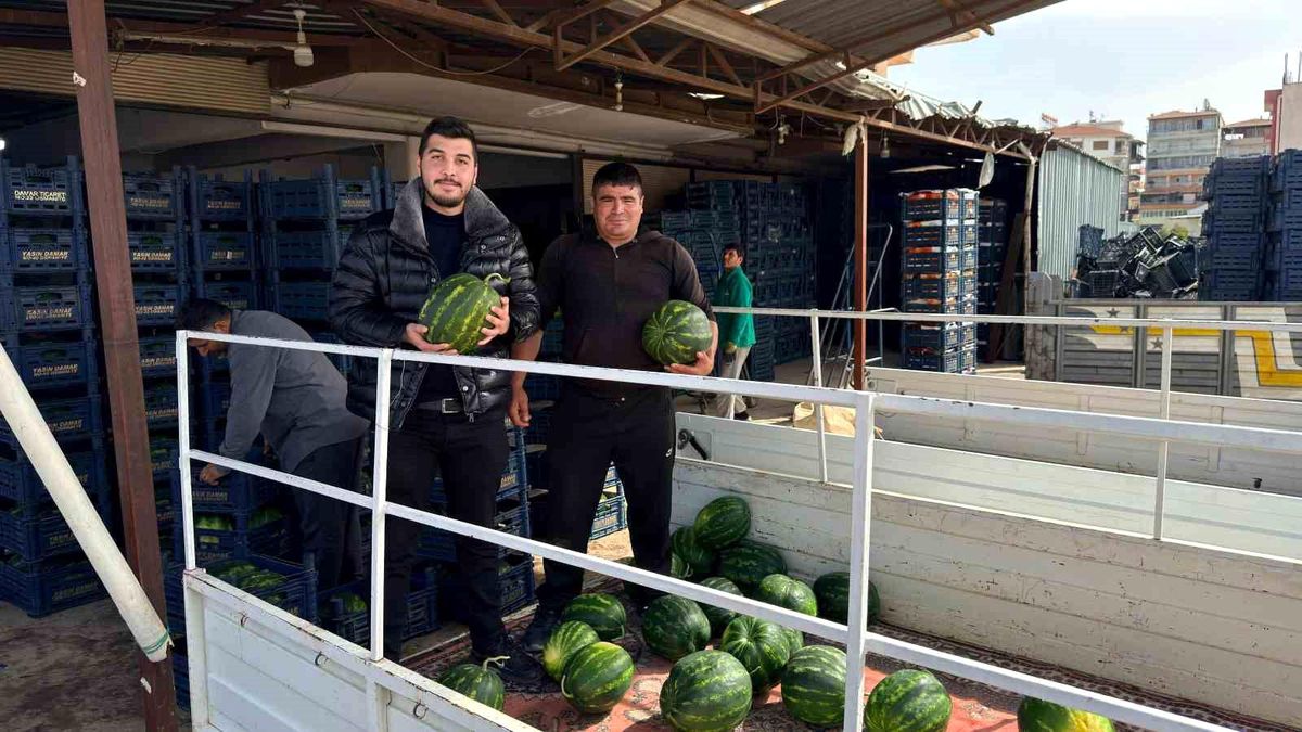 Antalya'da sezonun ilk karpuz hasadı yapıldı