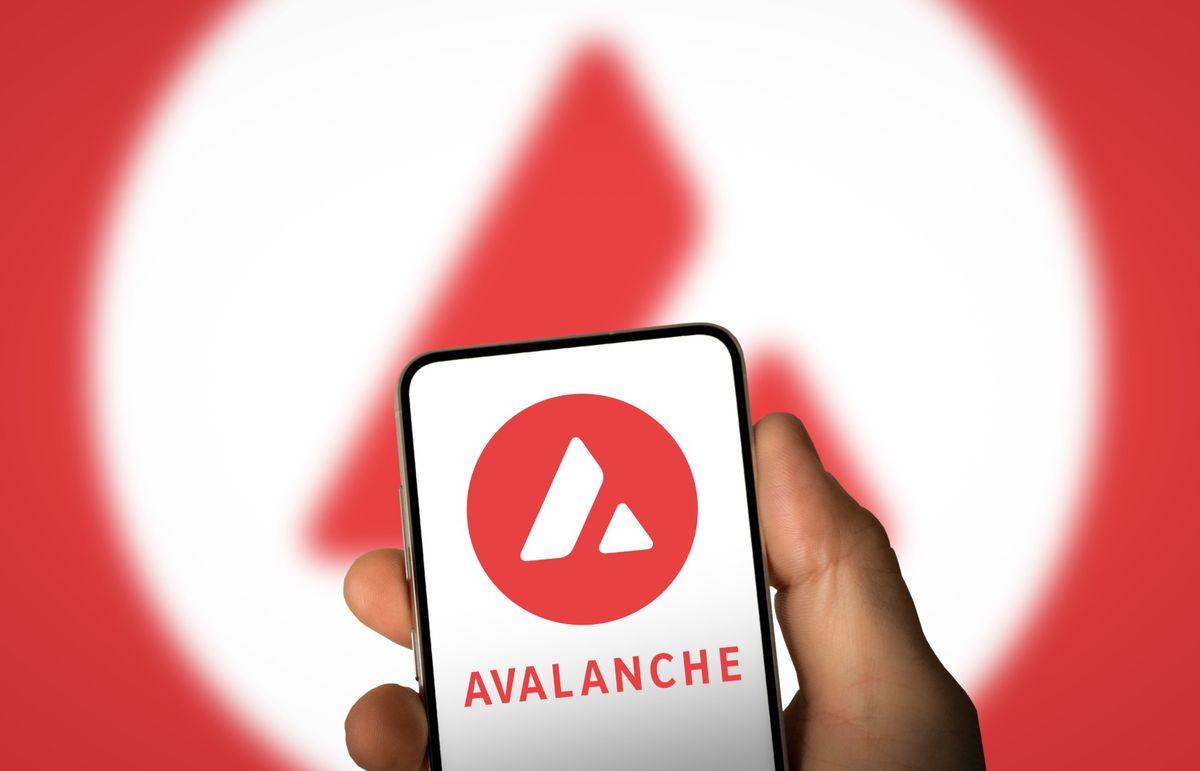 Bitwise Avalanche ETF'sini piyasaya sürdü