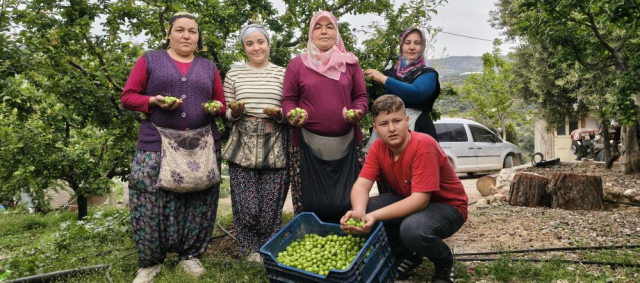 hasadi basladi fiyati 200 tlye 13e3cc79e9 1163 2 m