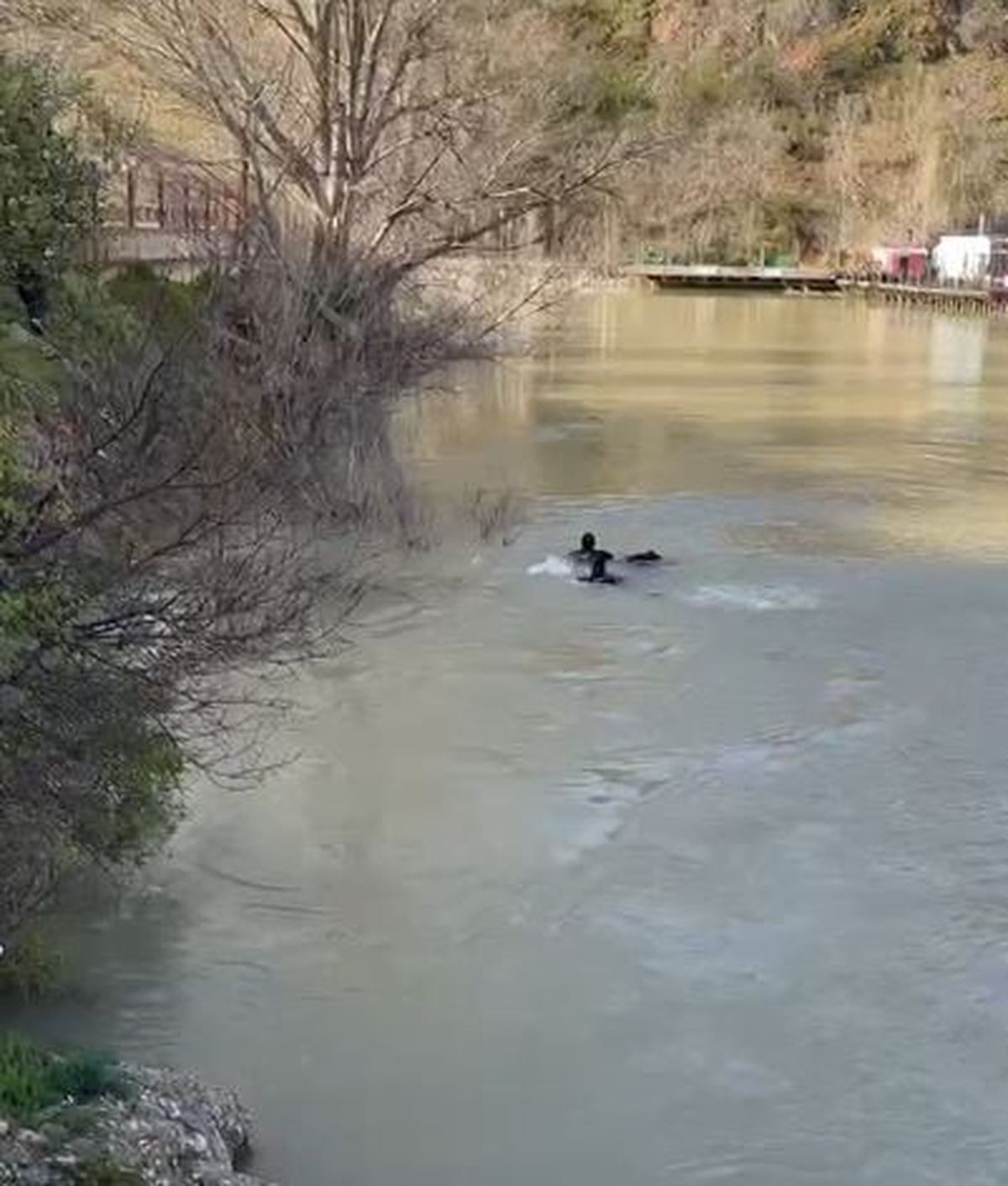 Munzur Nehri'nde kadın cesedi bulundu