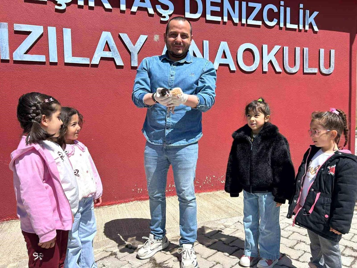 Anaokulunun misafiri 'Fındık' 6 yavru dünyaya getirdi