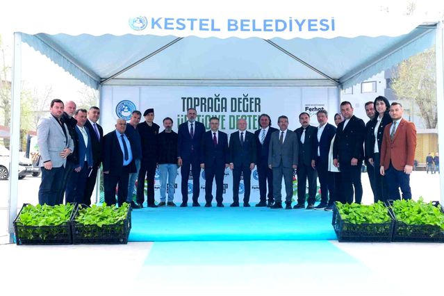 Kestel’de üreticiye 6 bin ahududu fidanı desteği