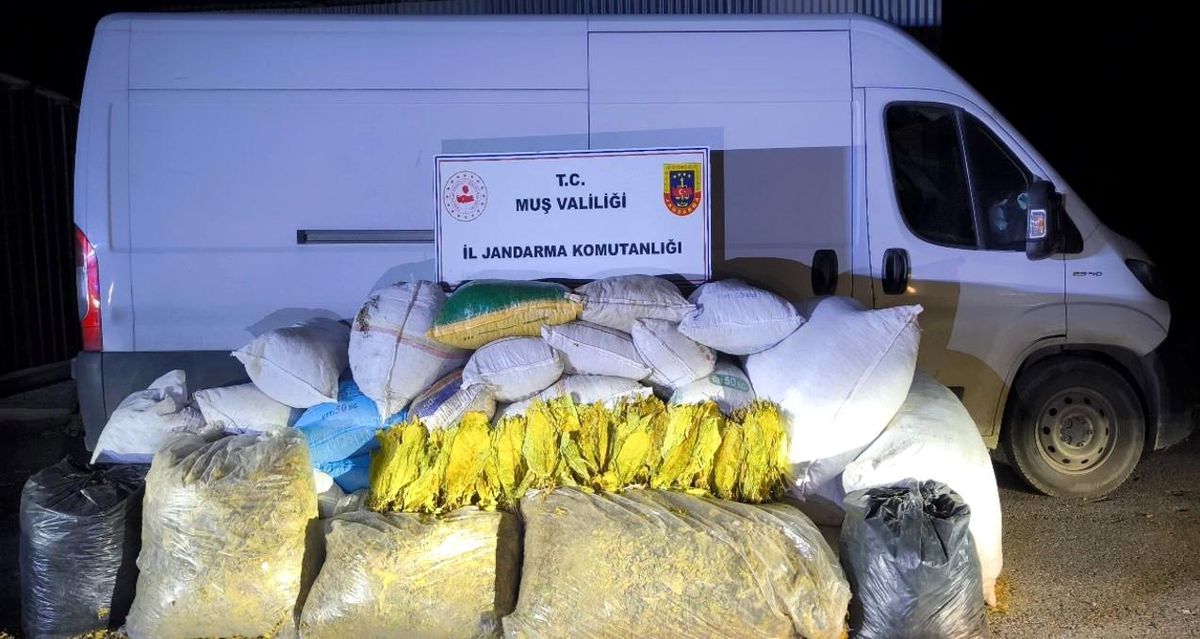 Muş'ta 1 ton 200 kilogram bandrolsüz tütün ele geçirildi
