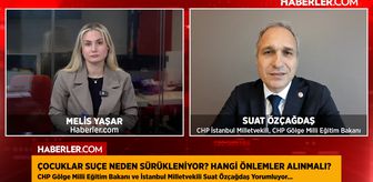 CHP İstanbul Milletvekili Suat Özçağdaş: Bireysel silahlanma marifetmiş gibi algılanıyor
