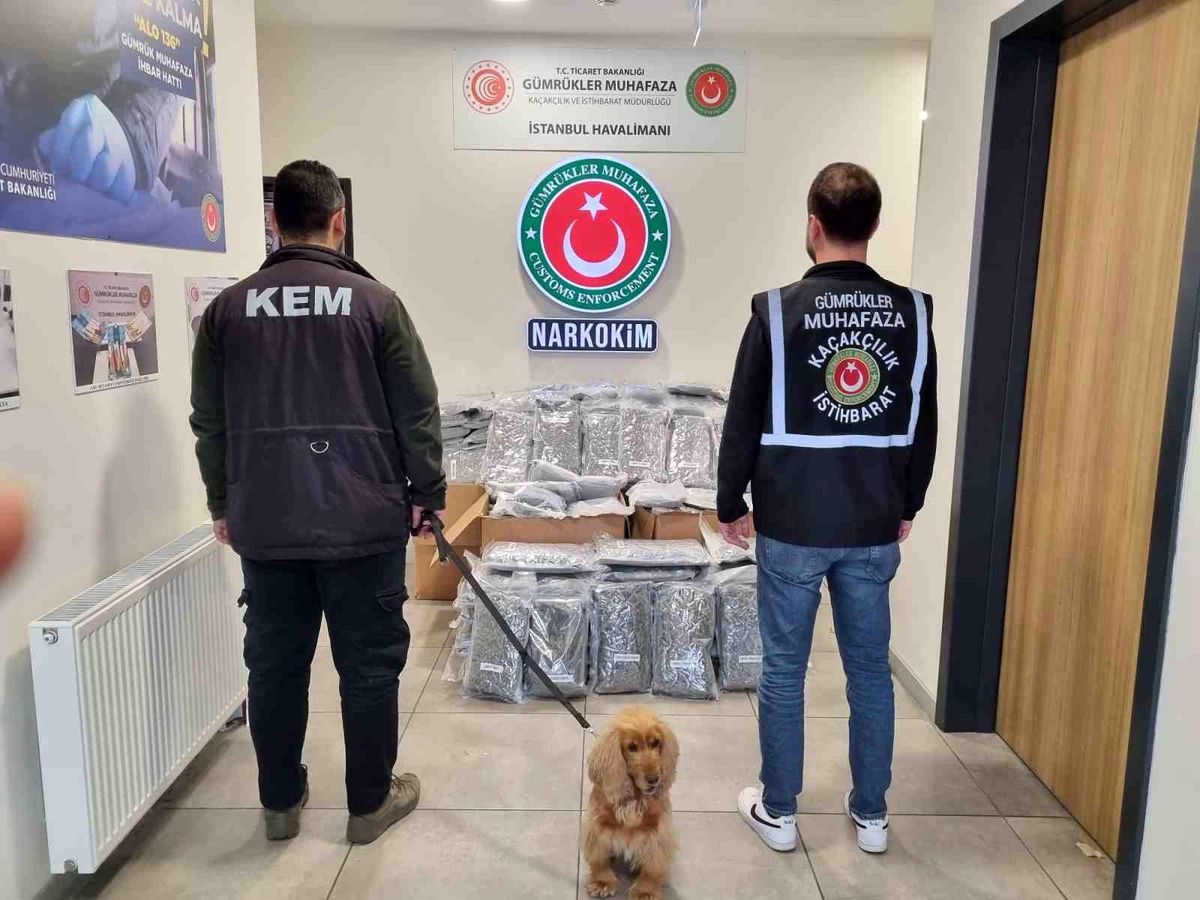 Gümrükler Muhafaza ekipleri piyasa değeri 378 milyon olan 420 kilo uyuşturucu madde yakaladı