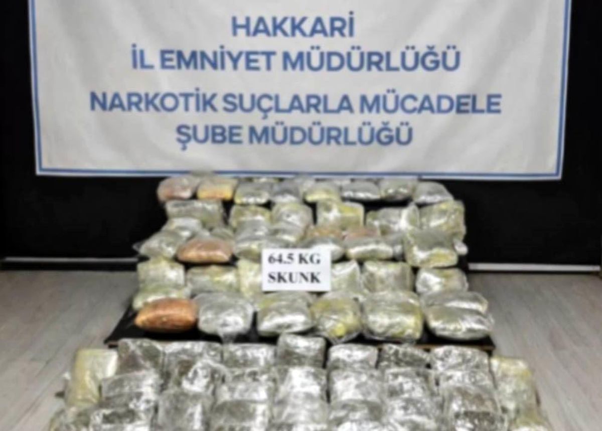 Hakkari'de 64,5 kilogram skunk ele geçirildi