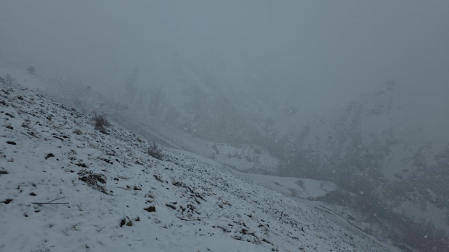bu goruntu az once cekildi goz 19766250 9345 3 m