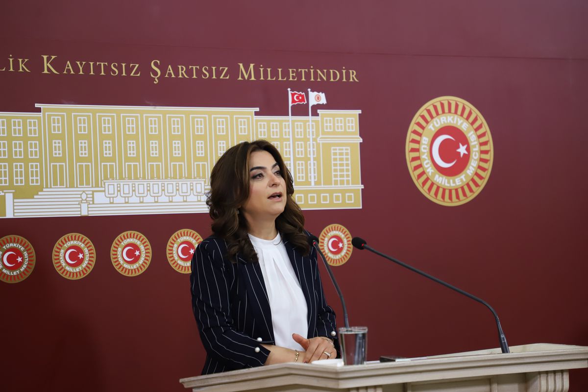 DEM Parti'li Koçyiğit: Sürecin geciktirilmesini doğru bulmuyoruz