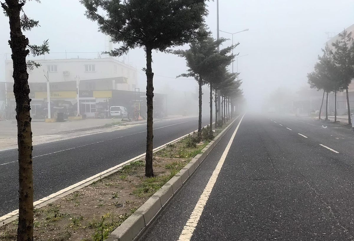 Diyarbakır'da sis etkili oldu