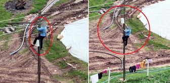 Dronu görünce kaçak hatları iptal etti