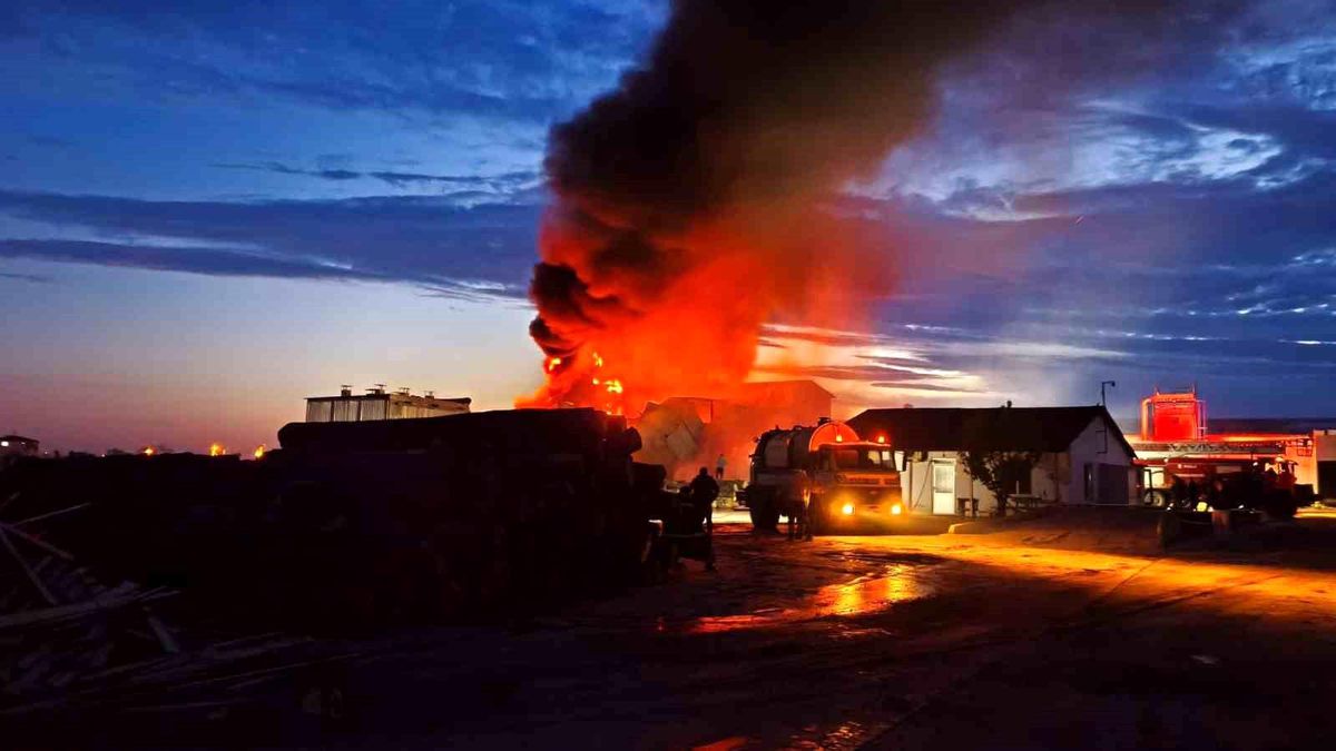 Edirne'de kereste fabrikasında çıkan yangın