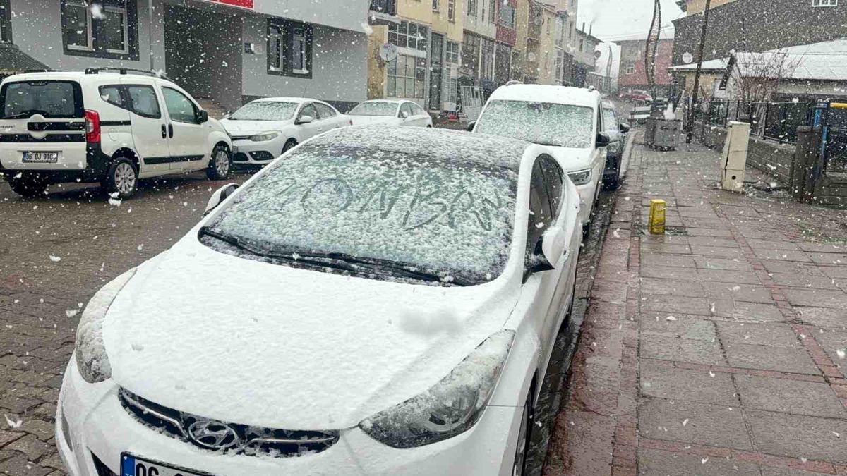 Karlıova'da nisan karı etkili oldu
