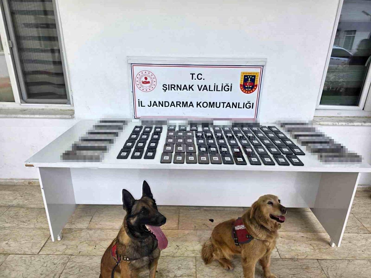 Şırnak'ta jandarmadan asayiş, kaçakçılık ve narkotik operasyonu