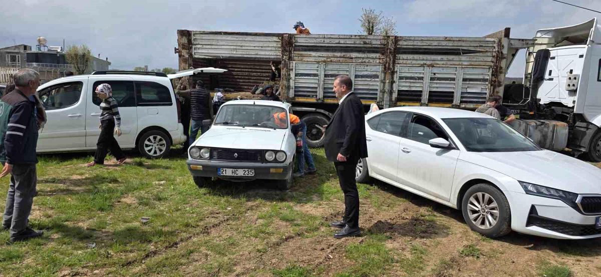 Dicle'de çiftçilere yüzde 100 hibeli bin 176 adet fıstık çöğürü dağıtıldı