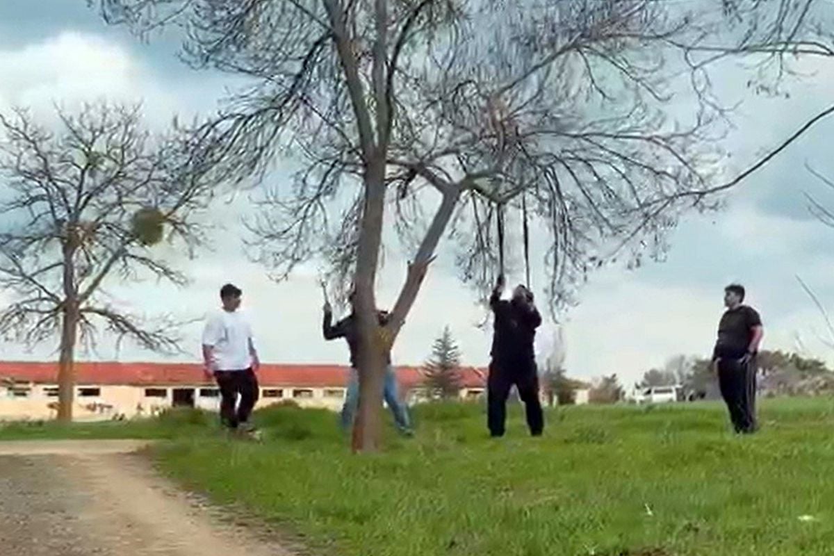 Eskişehir'de 'mangal için ağaç dalını kırmaya çalıştılar' iddiası