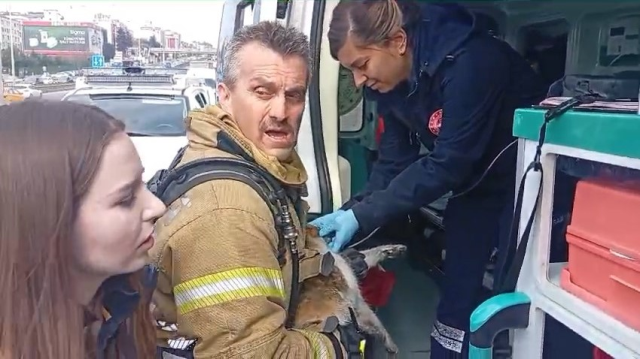 pendikte ev tekstili atolyesin 19769033 1273 2 m