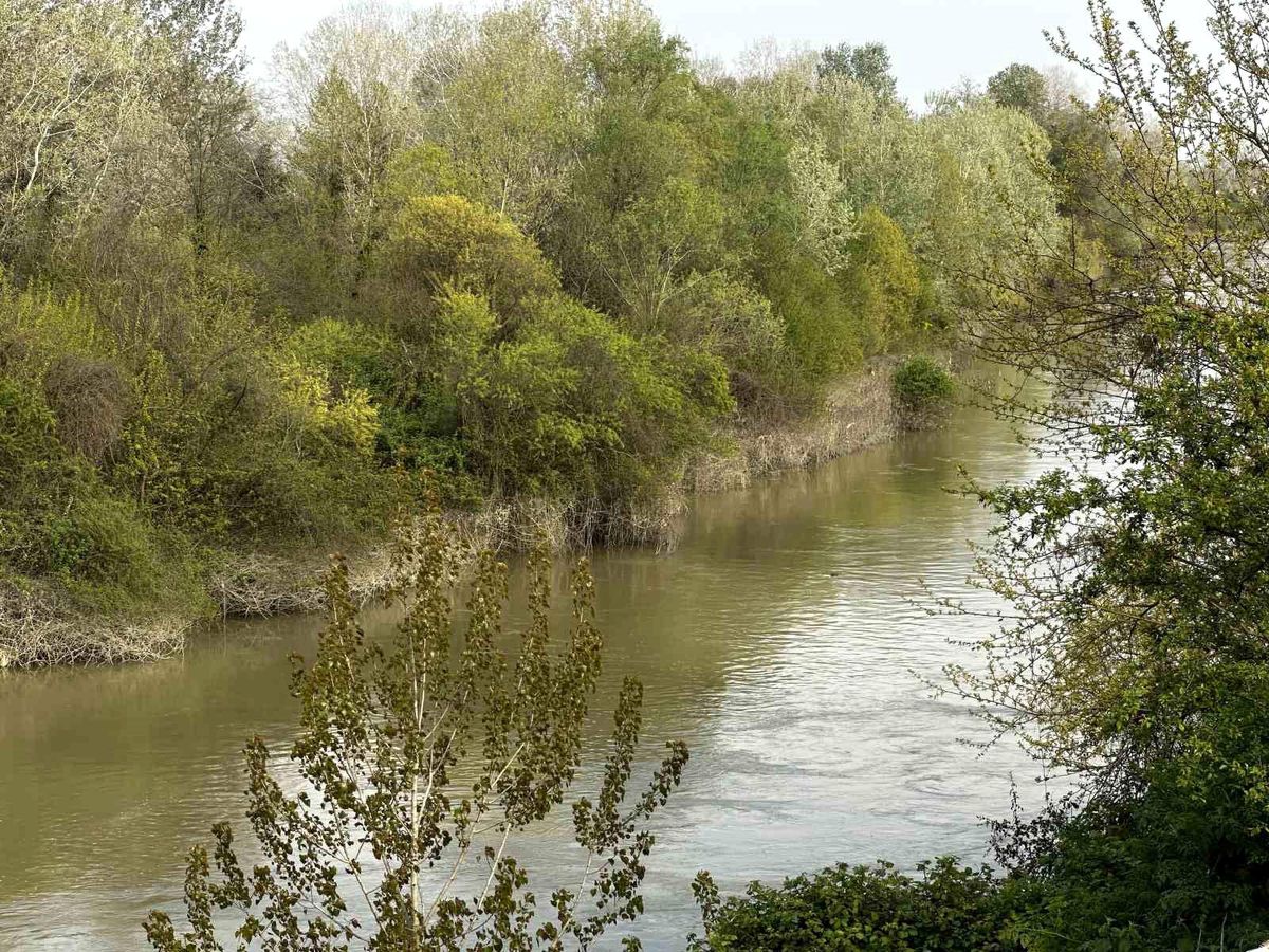 Sakarya Nehri'ne düşen çocuk didik didik aranıyor
