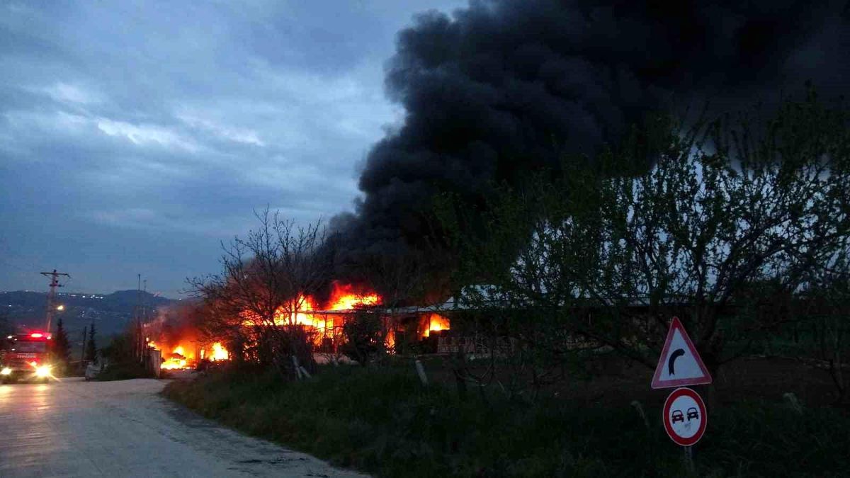 Samsun'da meyve deposunda yangın: Ekipler müdahale ediyor