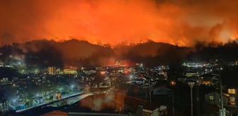 Japonya'nın Iwate eyaletinde orman yangını