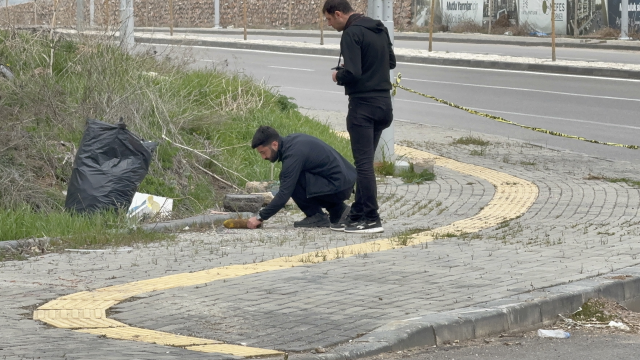 sivasta yol kenarinda havan to 19772786 9171 2 m