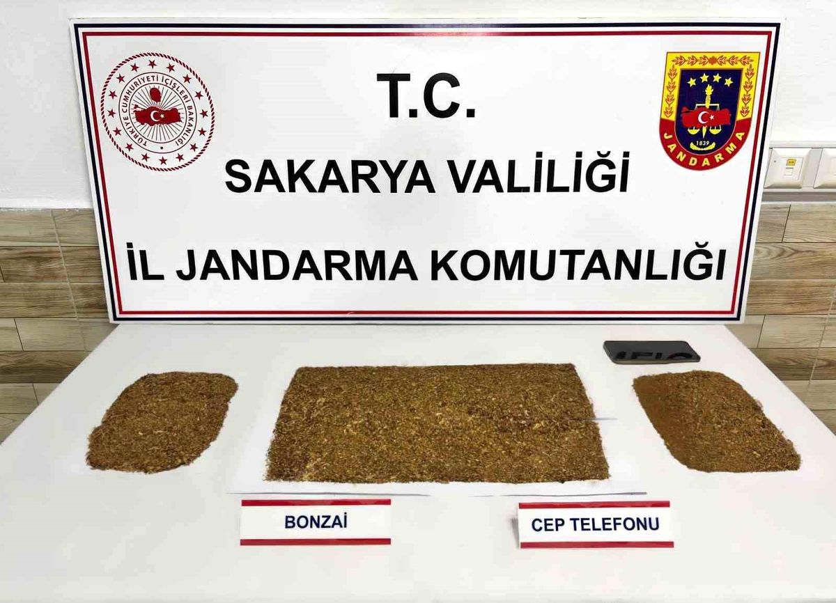 4 ilçede zehir taciri operasyonu: 6 tutuklama