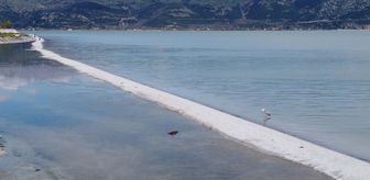 Eğirdir Gölü'nde kendiliğinden oluşan doğal yürüyüş yolu şaşırttı