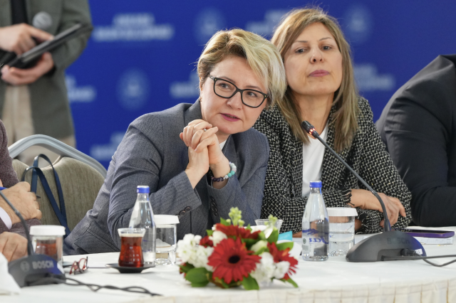 Министр Чифтчи объявил об ограничениях на лицензионное оружие