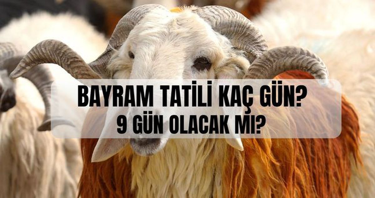 Bayram tatili 9 gün olacak mı, hafta sonu ile birleşecek mi? Kurban Bayramı tatili kaç gün olacak?