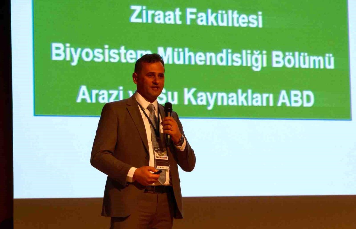 Bir kilogram zeytin için 6798 litre suya ihtiyaç duyuluyor