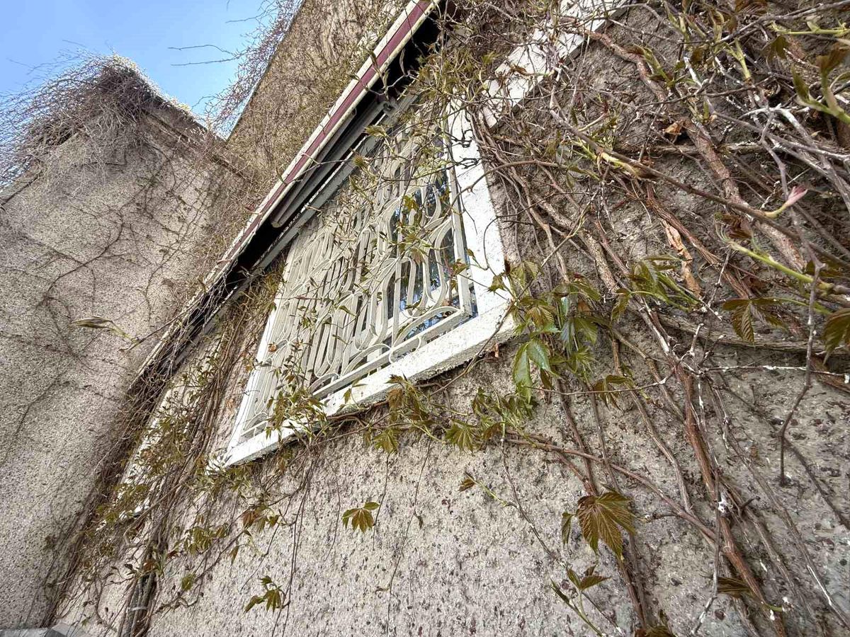 Sarmaşık Camii'nde Bahar Tomurcukları