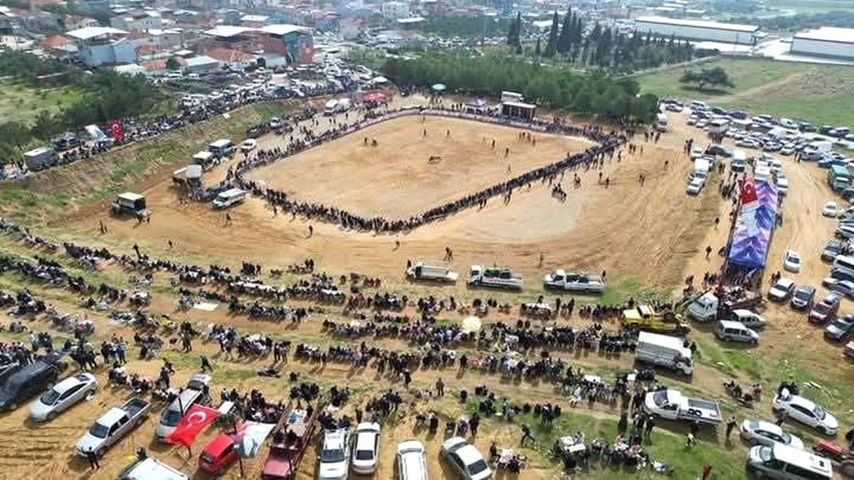 Kemalpaşa'da 3. Boğa Güreşi Festivali heyecanı