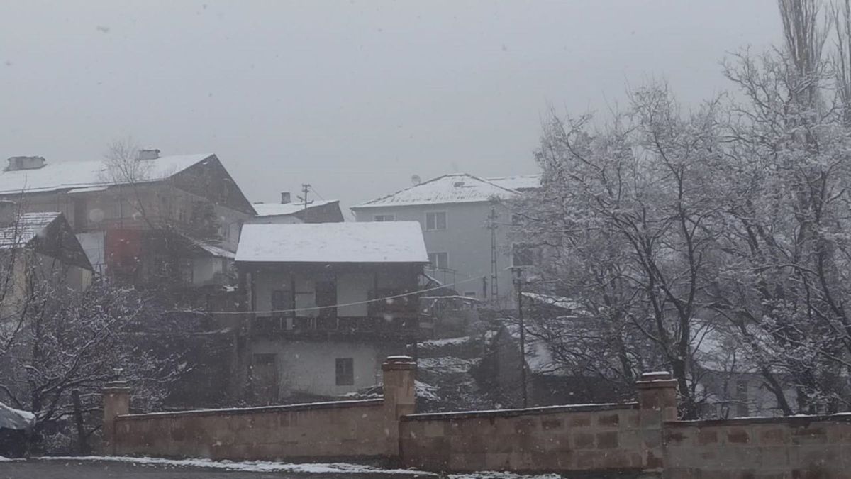 Posof'ta kar yağışı etkili oldu