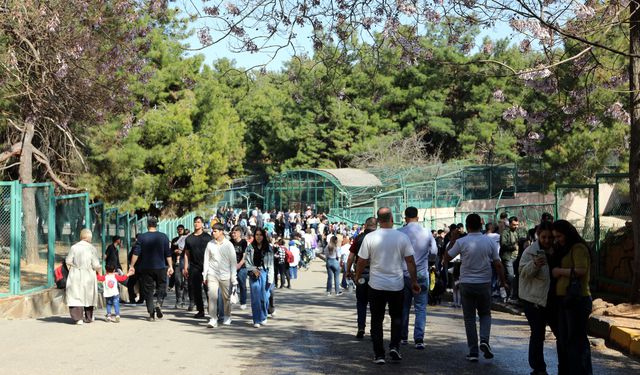 turkiye de dogan ilk zurafanin ismi anketle b 8 19778367 o