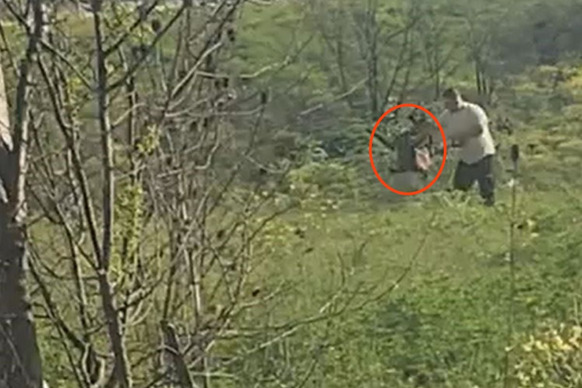Avcılar'da köpeğe acımasızca işkence eden şahıs kıskıvrak yakalandı