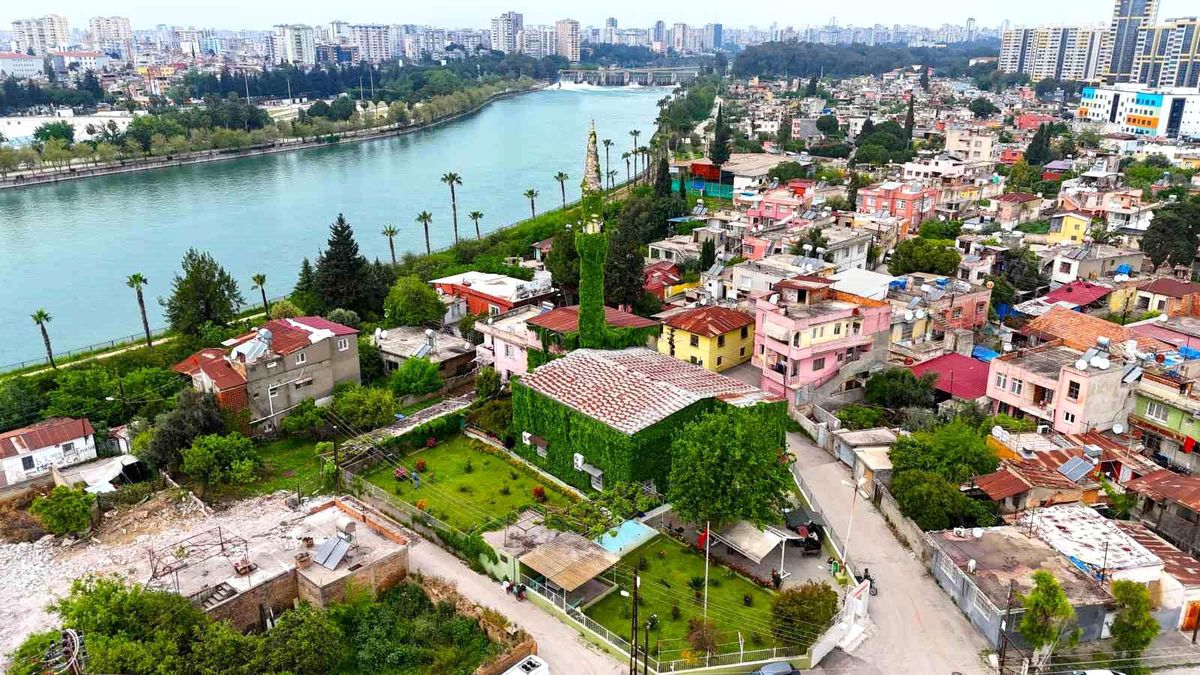 Botanik bahçeyi andıran cami, yeniden sarmaşıklarına kavuştu