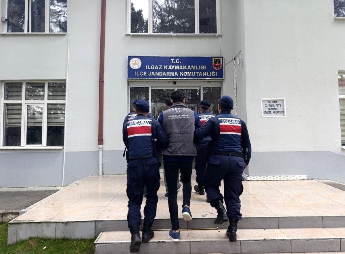 Çankırı'da büyükbaş hayvan çalan şahıslar tutuklandı