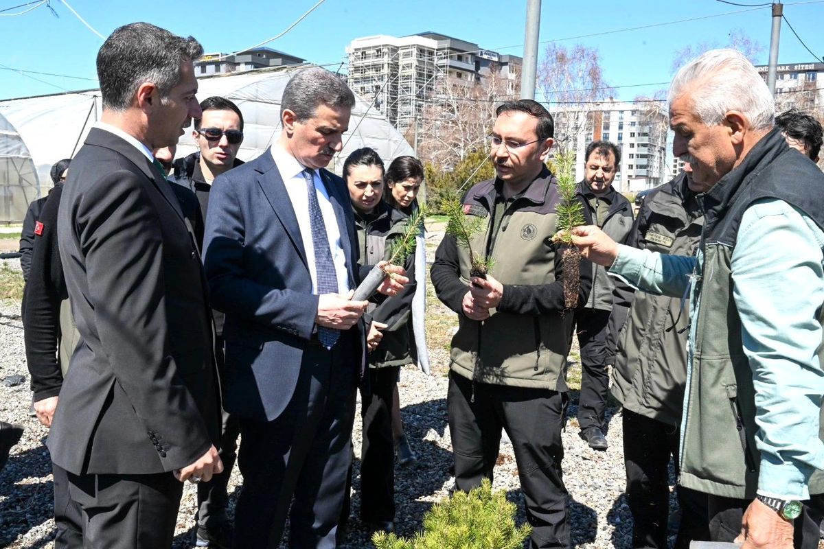22 yılda 109 milyon 508 bin adet fidan toprakla buluştu