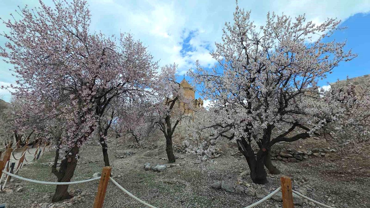 Akdamar Adası'nda renk cümbüşü