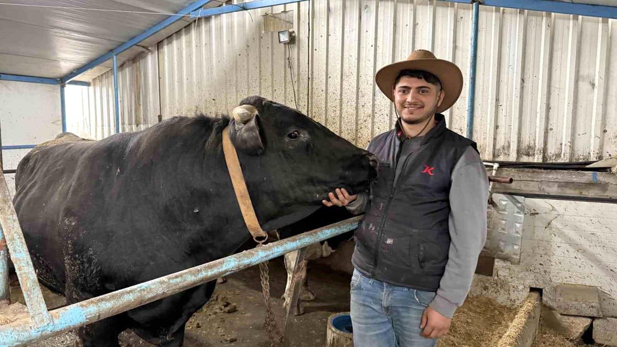 Aksiliklerinden kantara çıkamıyorlar: 4 yaşındaki dev tosunları gören bir daha bakıyor