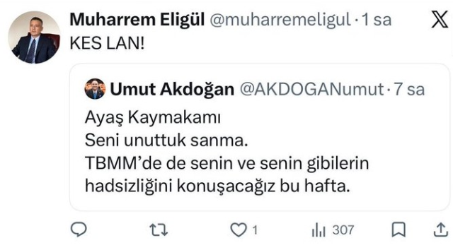 ayas kaymakami eligulden mille 19785711 5753 1 m