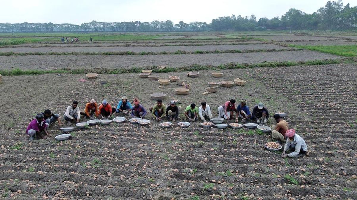 Bangladeş'te Yıldırım Çarpması Sonucu 12 Kişi Hayatını Kaybetti