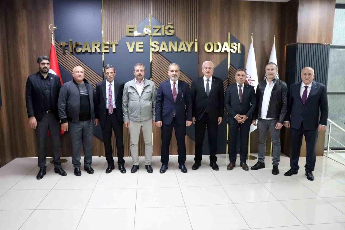 Başkan Alan Karakoçan'ın sorunlarını Vali Hatipoğlu'na iletti