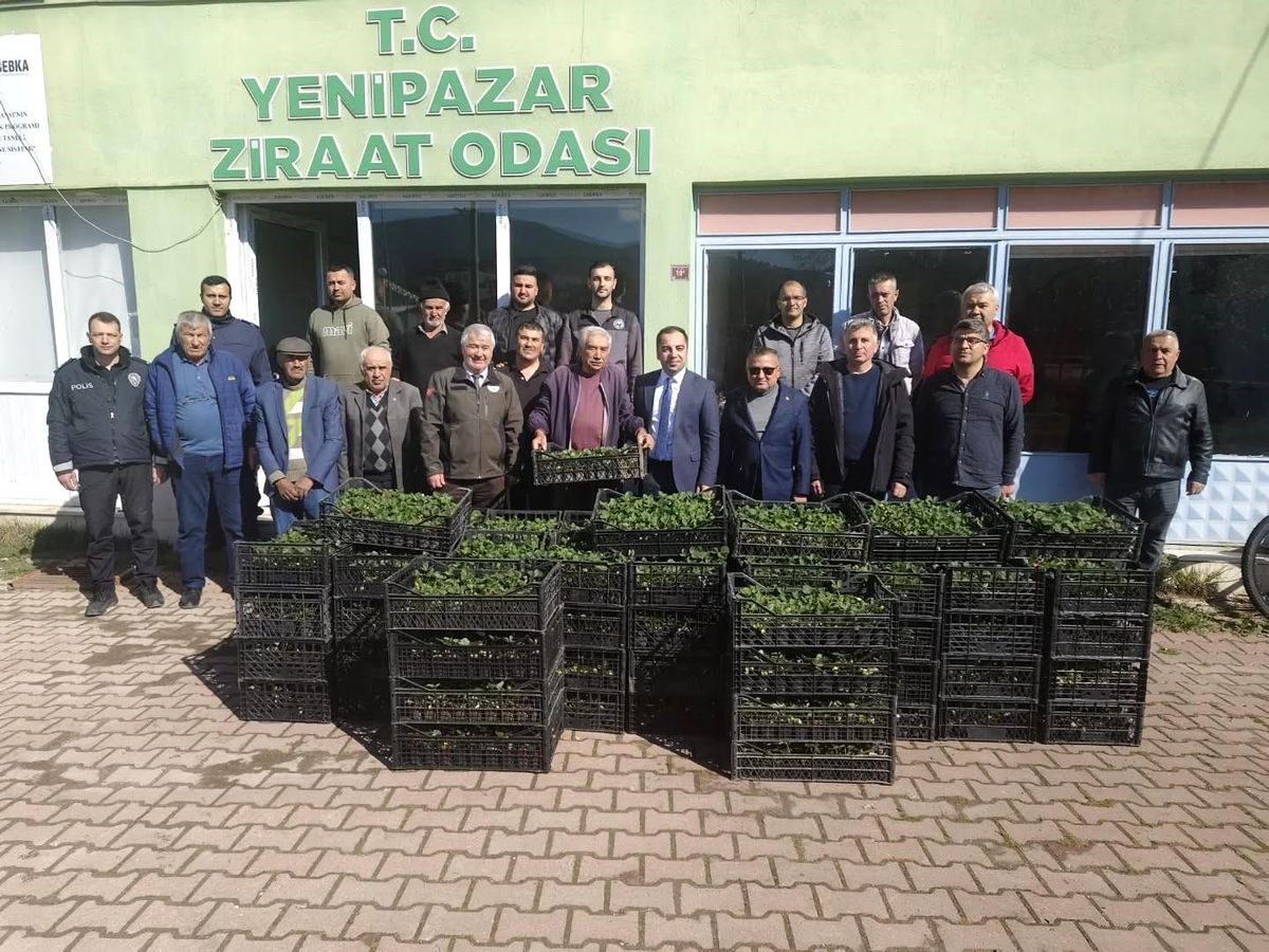 Bilecik'te 8 bin çilek fidesi üreticiyle buluştu