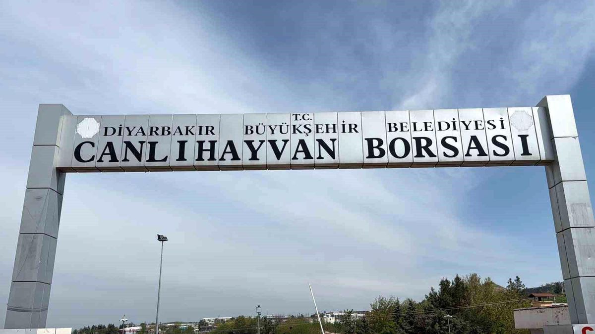 Diyarbakır Canlı Hayvan Borsası tadilata alındı